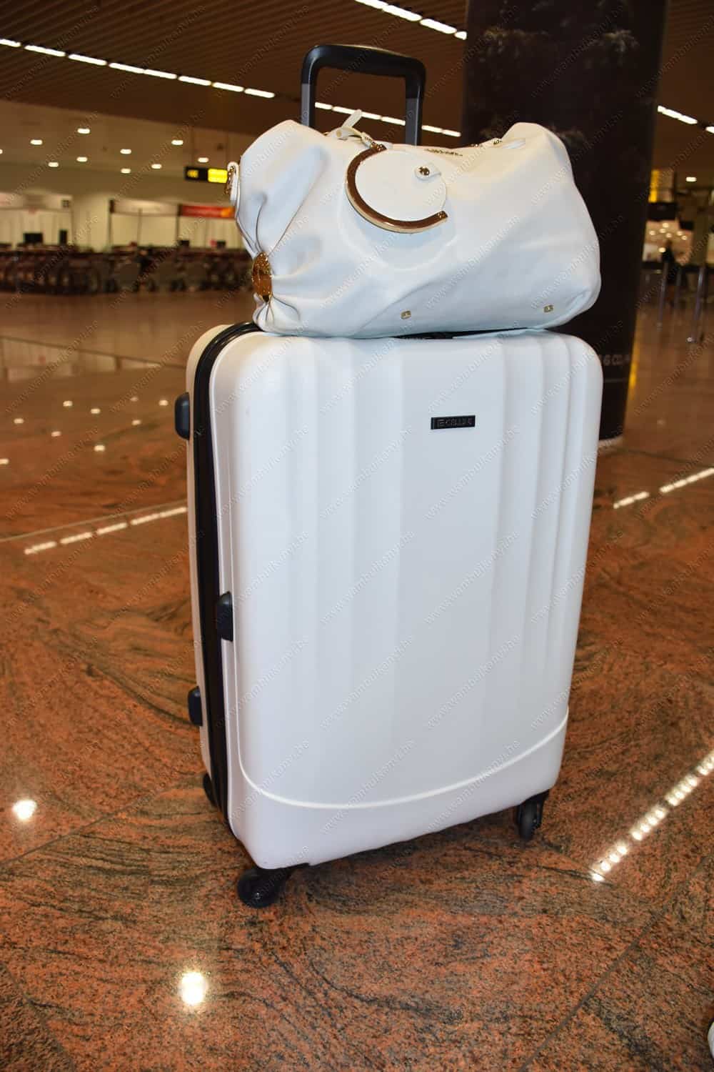 Wmbui's Diaries Travel  suitcase 