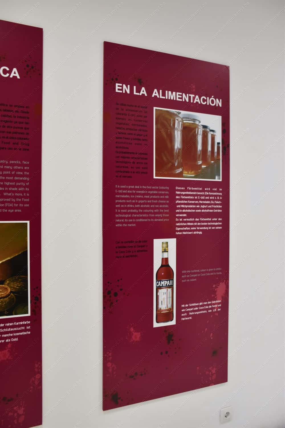 Aloe Vera Museum in Lanzarote
