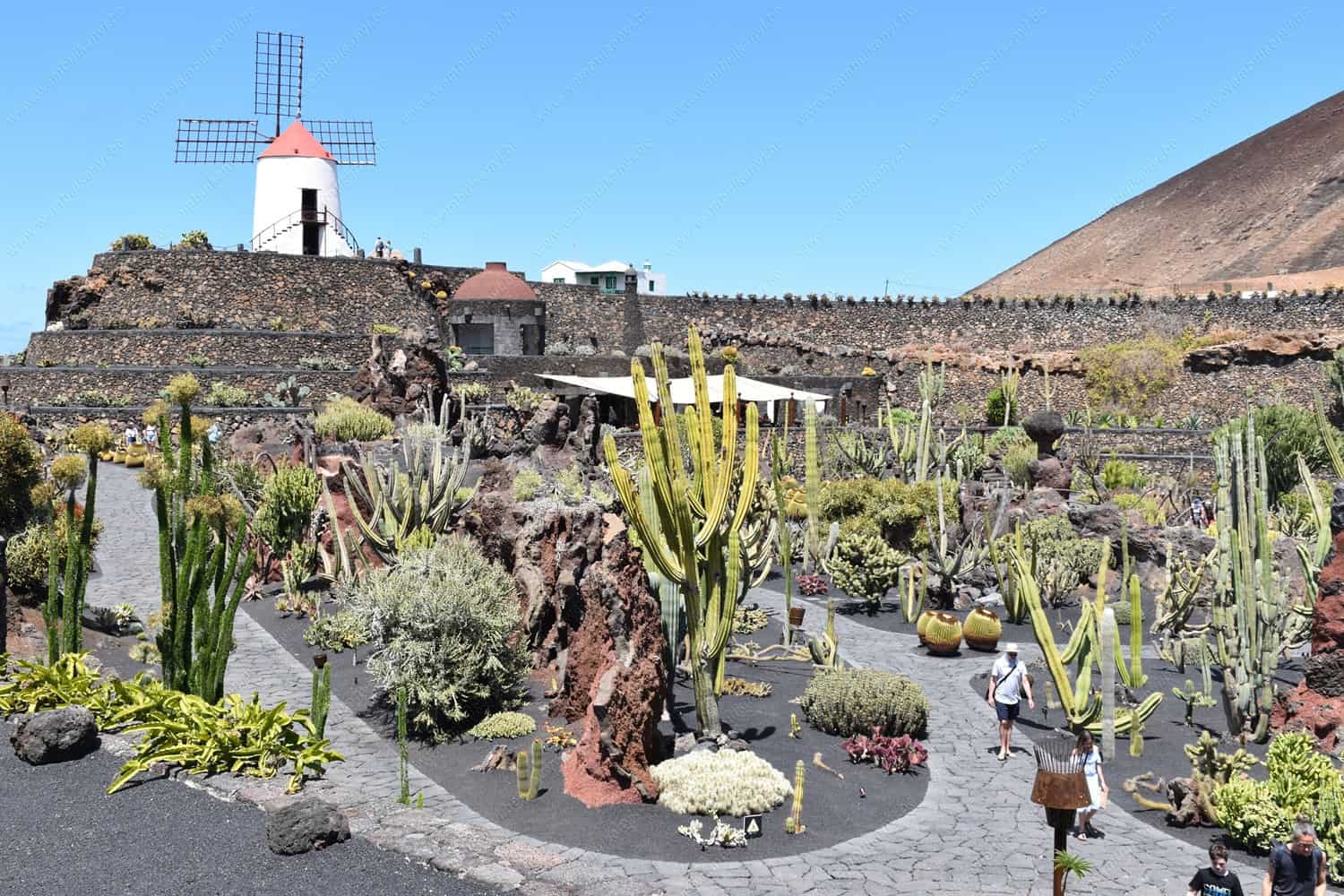 Jardines de Cactus, Lanzarote